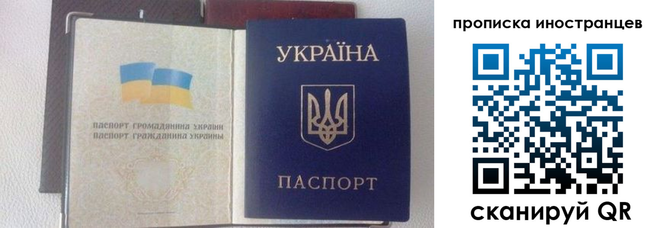 регистрация в Николаевске-на-Амуре